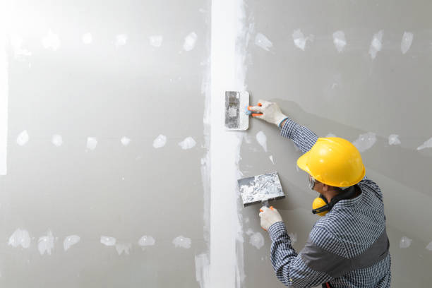 Best Wallpaper Removal and Painting  in Westfield Center, OH